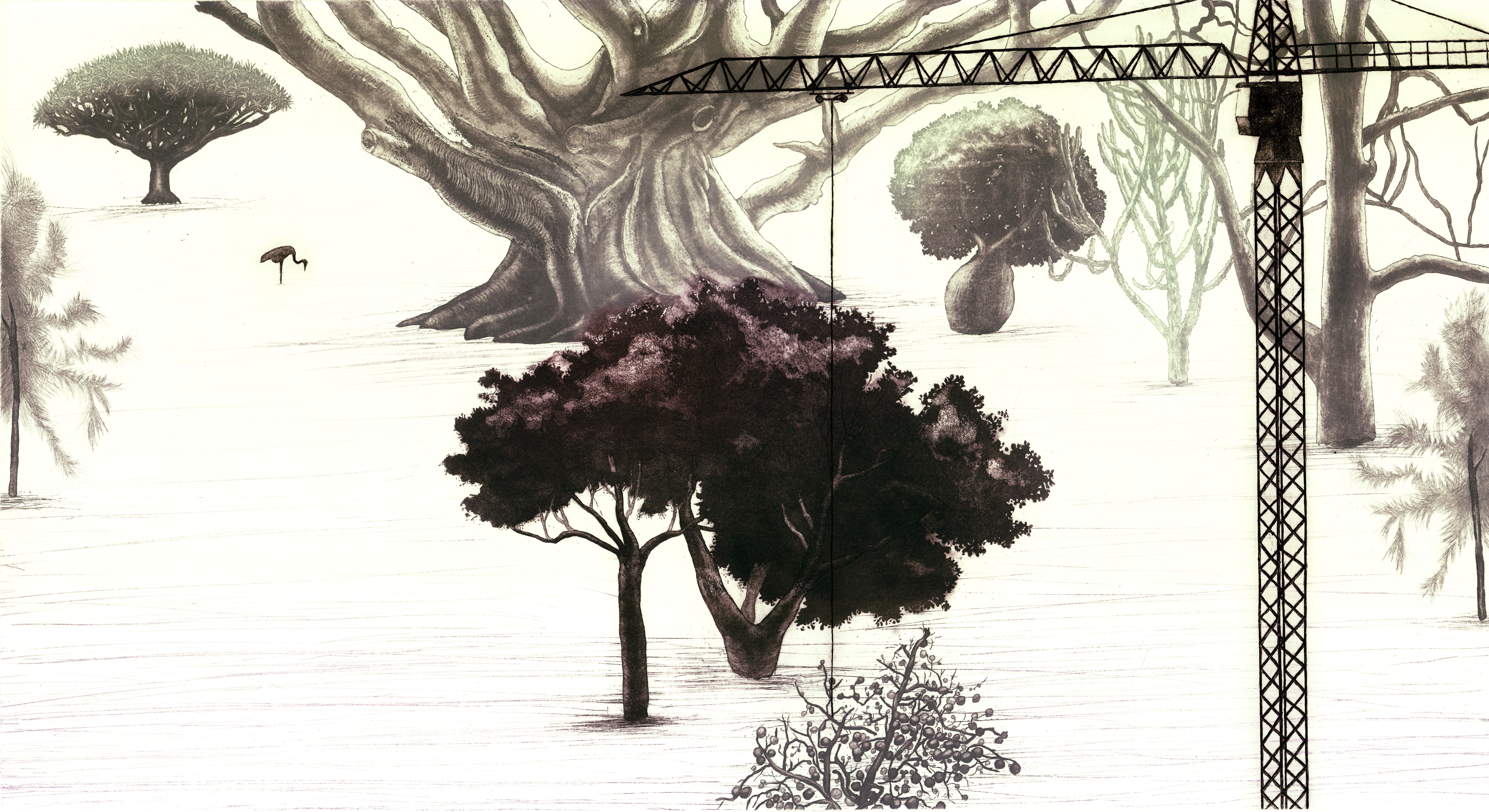 Landscape with cranes