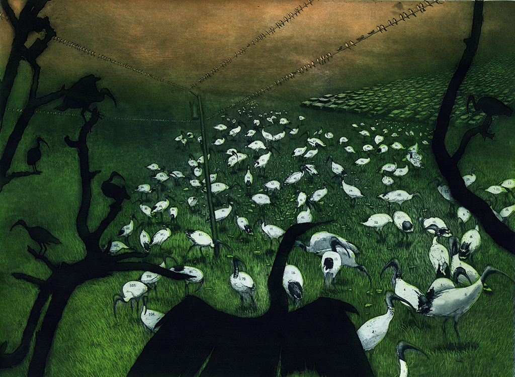 Vast Numbers